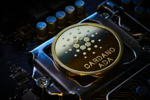 Cardano kurs